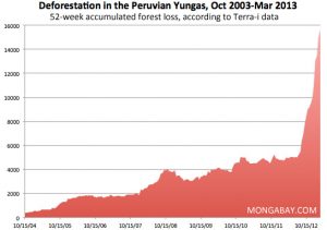 0119-peruvian-yungas-deforestation