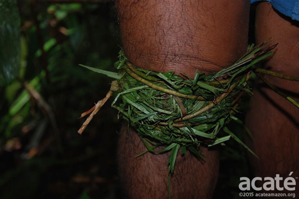 Aplicação de medicina tradicional dos Matsés. Foto: Acaté