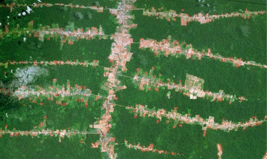 Desmatamento em forma de espinha de peixe. Foto: Google Earth / Deforestación en forma de espina de pescado.  Foto: Google Earth / Amazon deforestation fishbone. Image: Google Earth