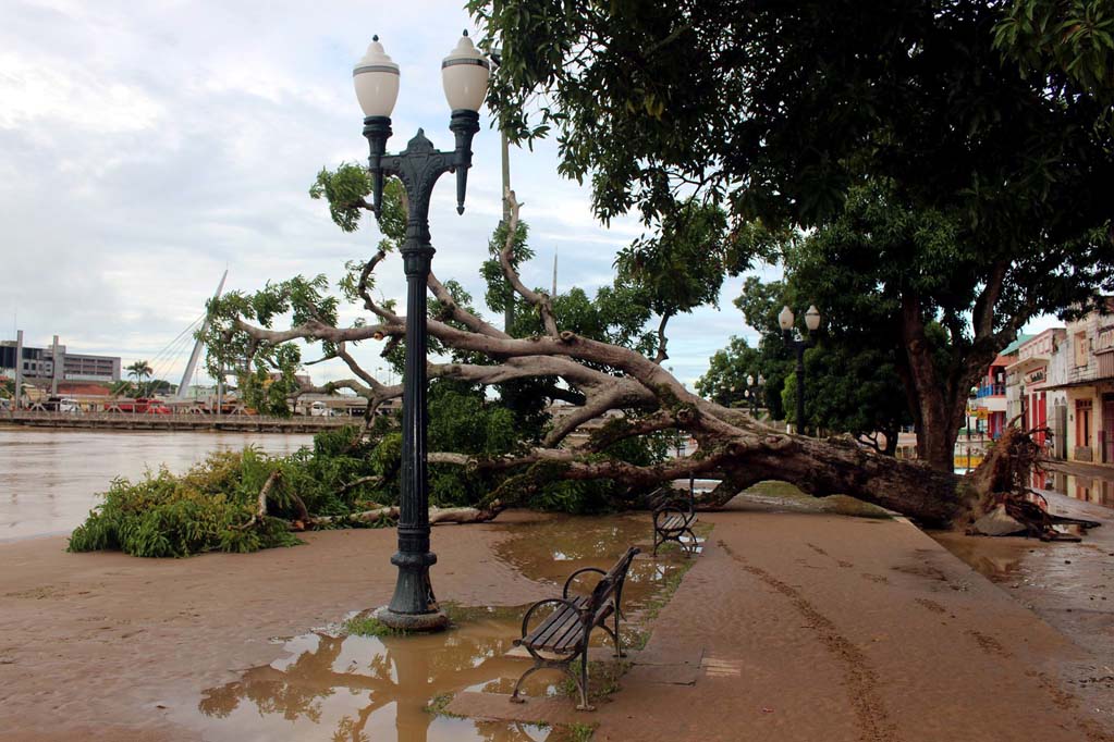 Árvore e lama nas ruas após cheia histórica de 2015 no Acre