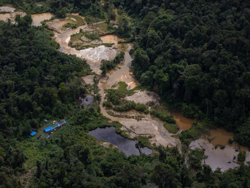 Garimpo no Parima, Terra Indígena Yanomami